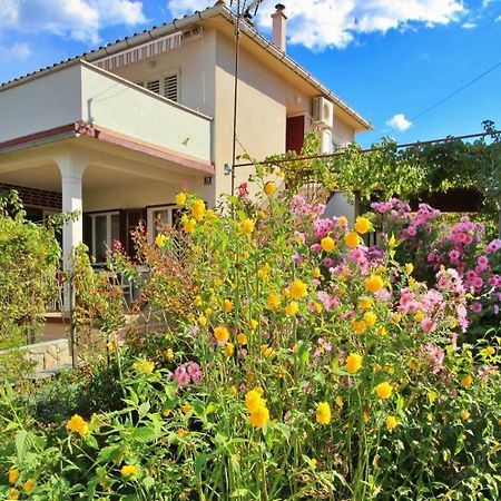 Apartments Dragica Сило Экстерьер фото