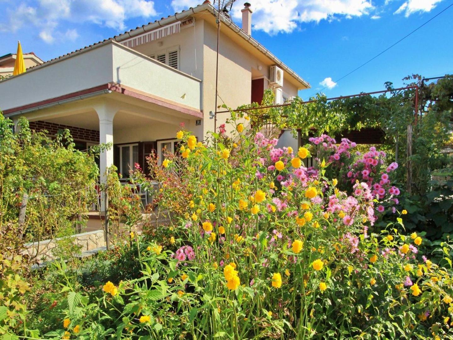Apartments Dragica Сило Экстерьер фото